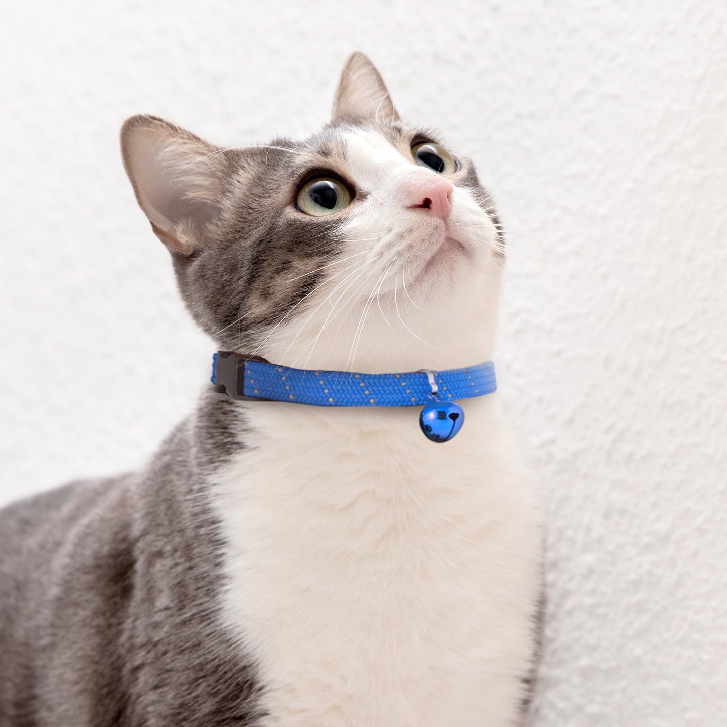 BirdsBeSafe Full Stretch Breakaway Cat Collar + Bell | Reflective