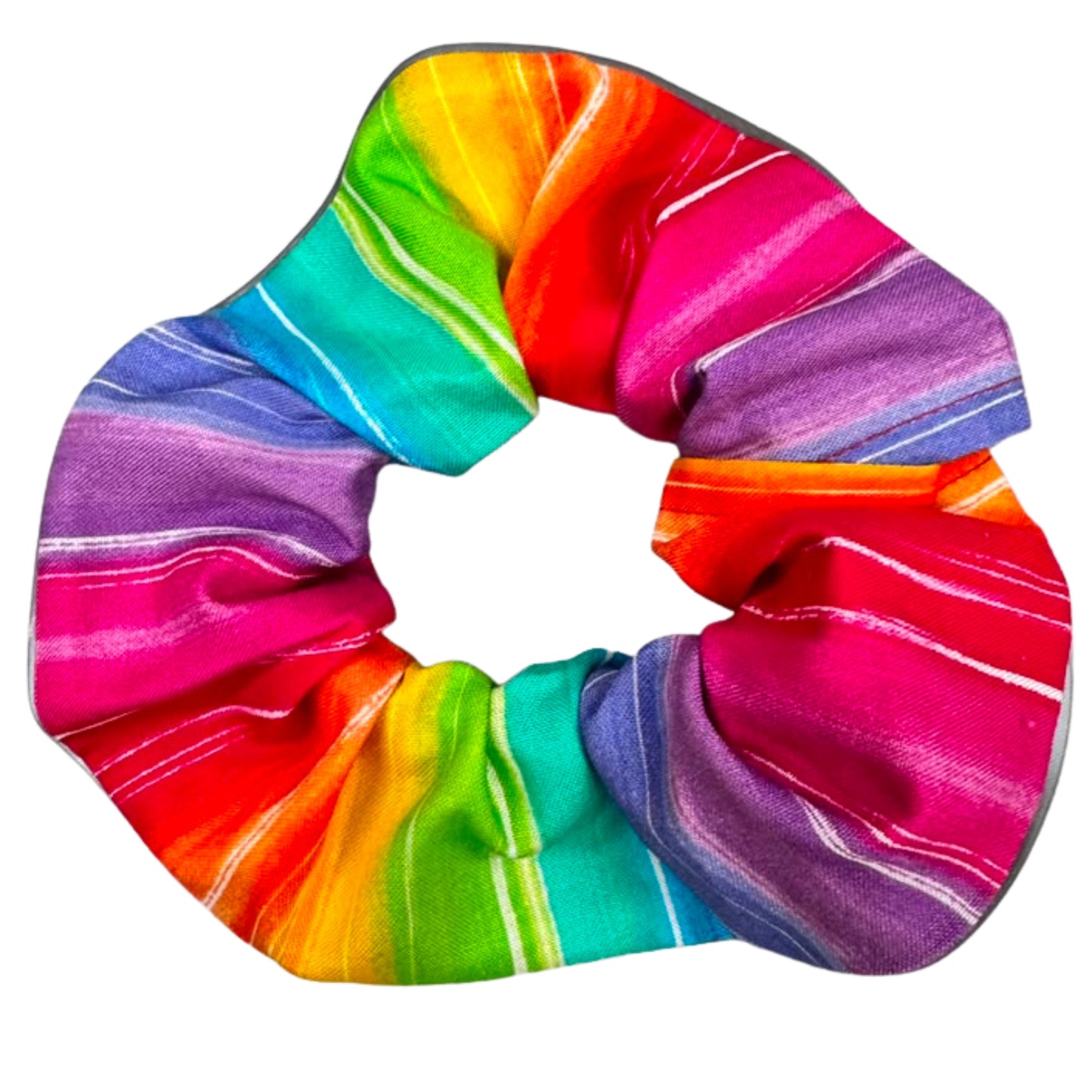 Rainbow Charlie Birdsbesafe ® Collar Cover