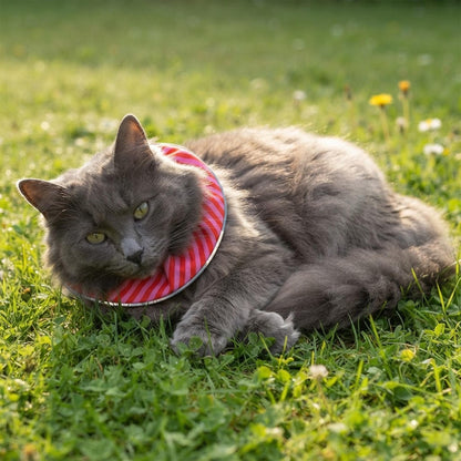 Candy Cane Birdsbesafe ® Collar Cover - Long-Haired Cat Style