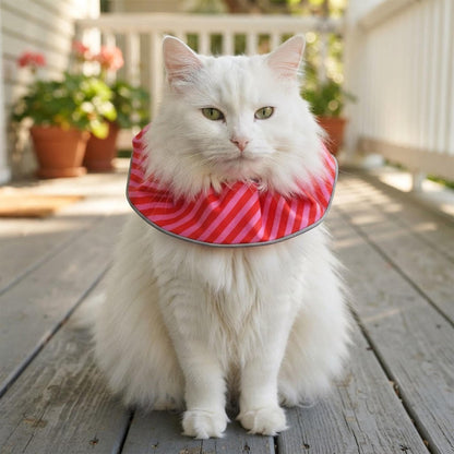 Candy Cane Birdsbesafe ® Collar Cover - Long-Haired Cat Style