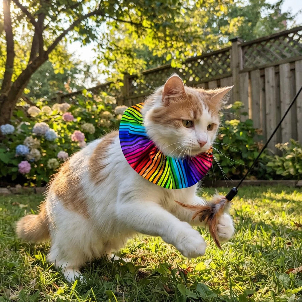 Cosmic Stripes Birdsbesafe ® Collar Cover