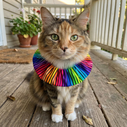 Cosmic Stripes Birdsbesafe ® Collar Cover