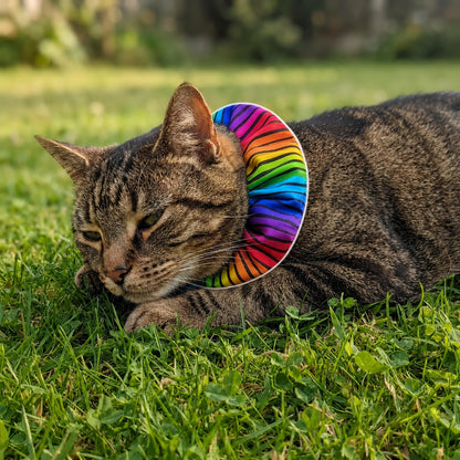 Cosmic Stripes Birdsbesafe ® Collar Cover