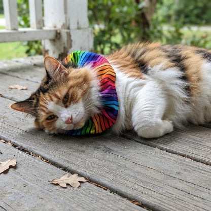 Cosmic Stripes Birdsbesafe ® Collar Cover - Long-Haired Cat Style