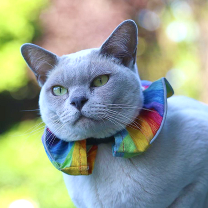 Collar for long haired cat hotsell