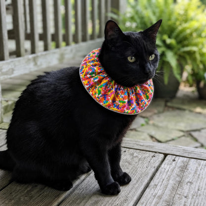 Rainbow Sprinkles Birdsbesafe ® Collar Cover