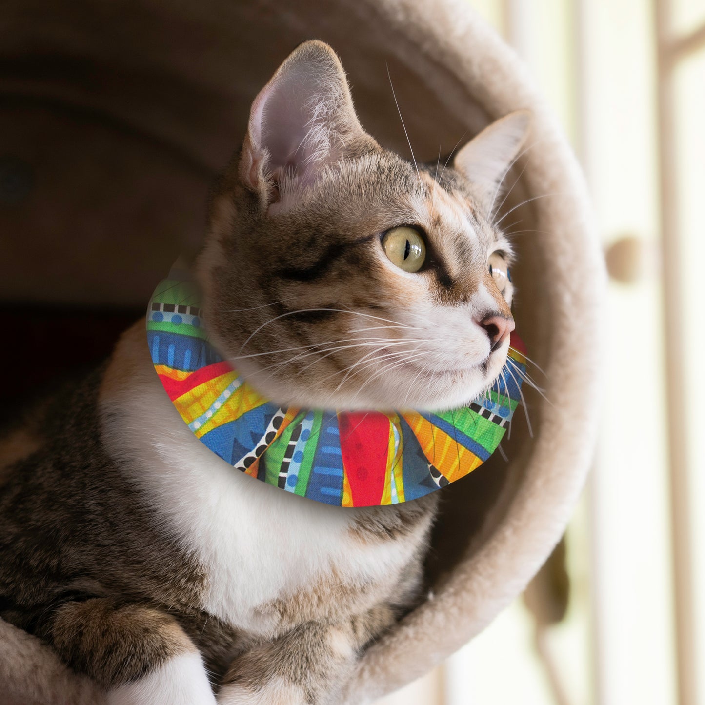 Wavy Stripes Birdsbesafe ® Collar Cover