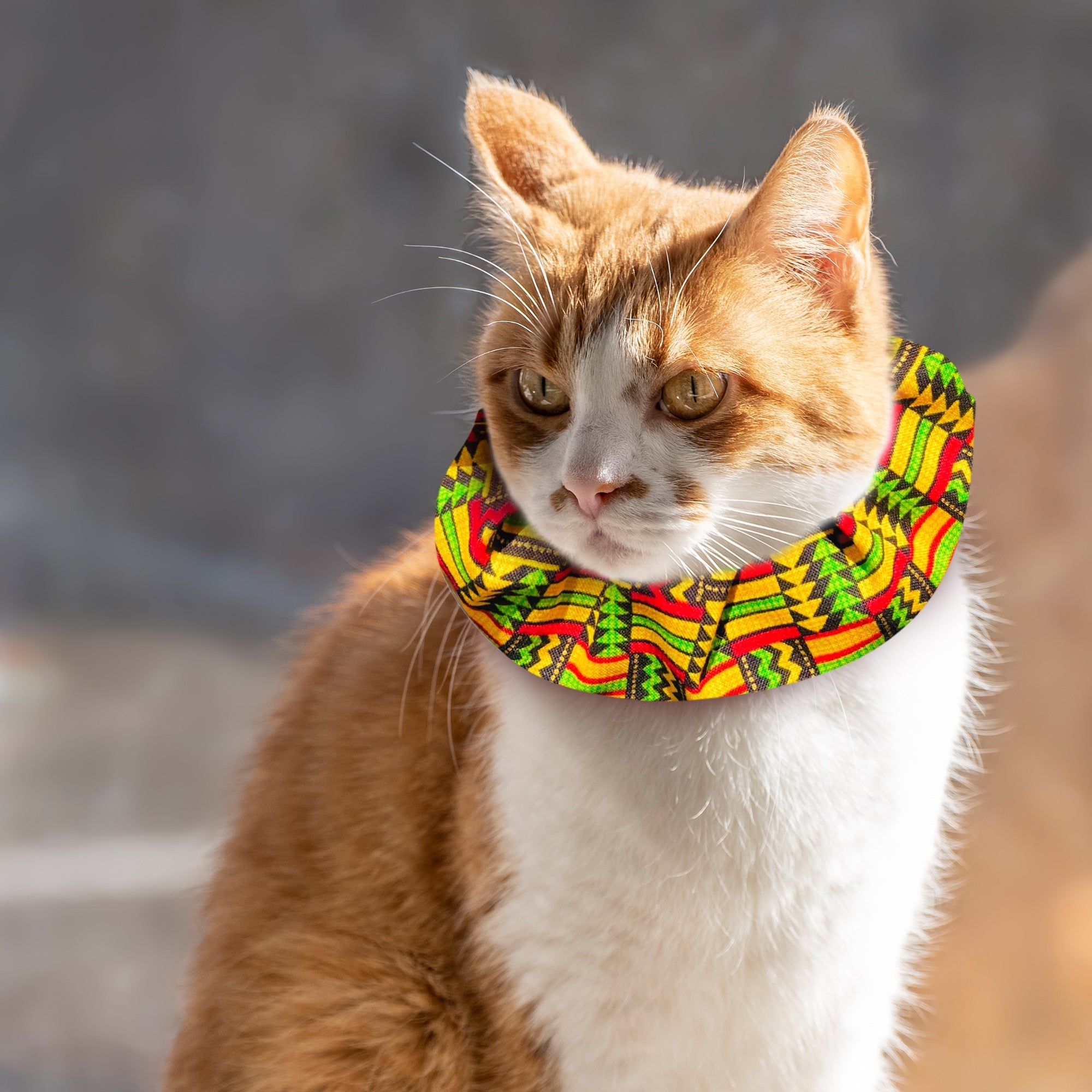 Celtic Wind Birdsbesafe Collar Cover Long haired Cat Style