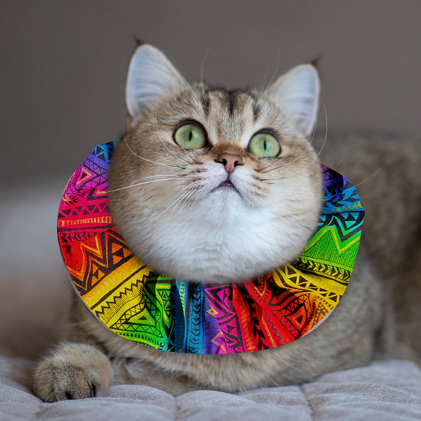 Tribal Stripes Birdsbesafe ® Collar Cover